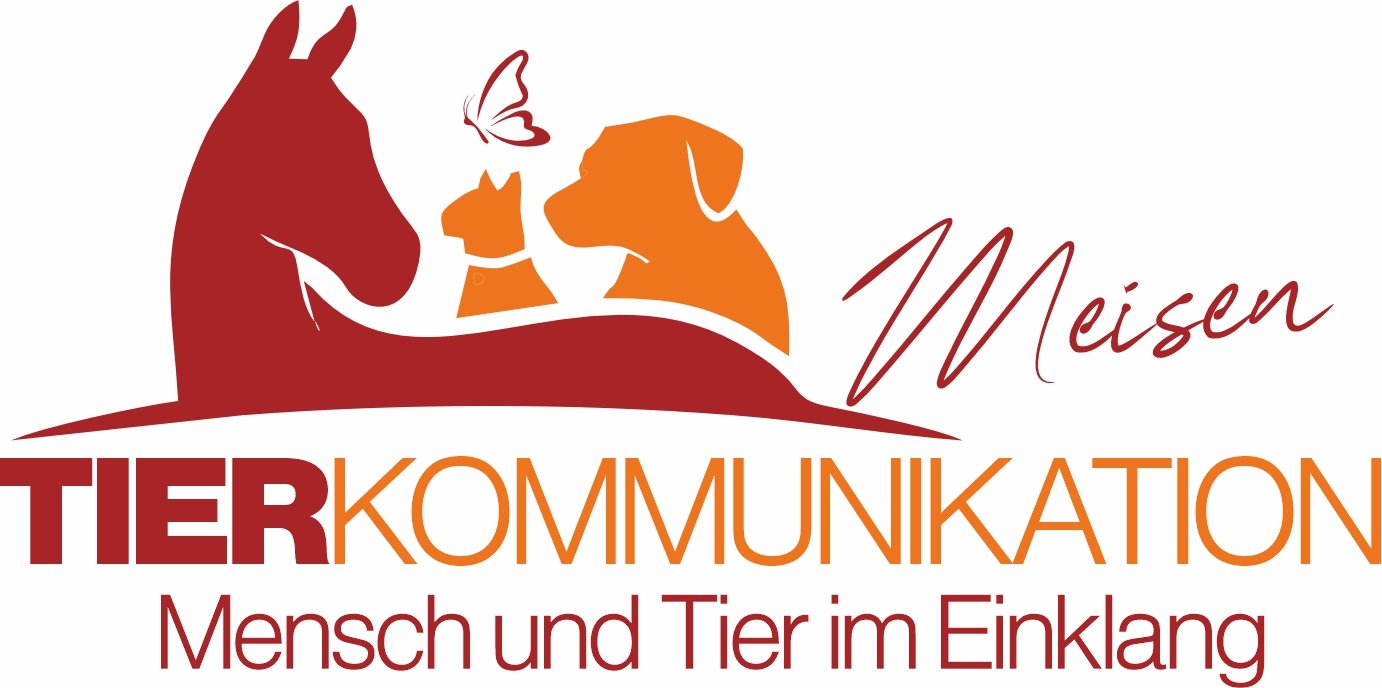 Tierkommunikation Meisen